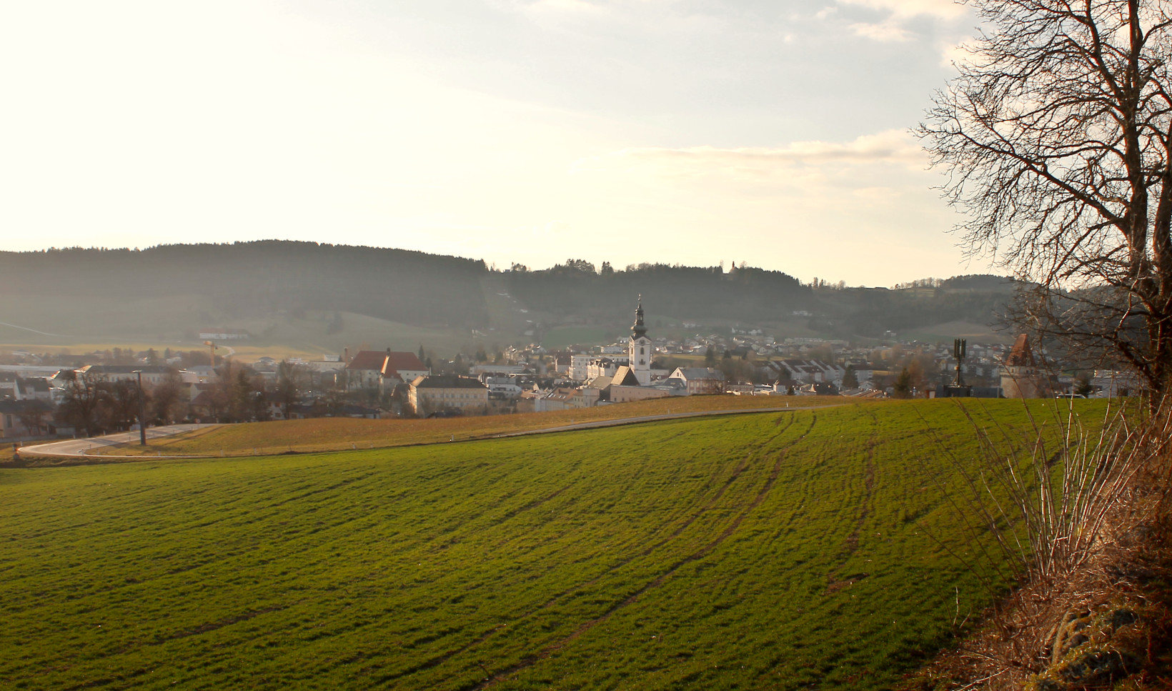 Ansicht von Freistadt